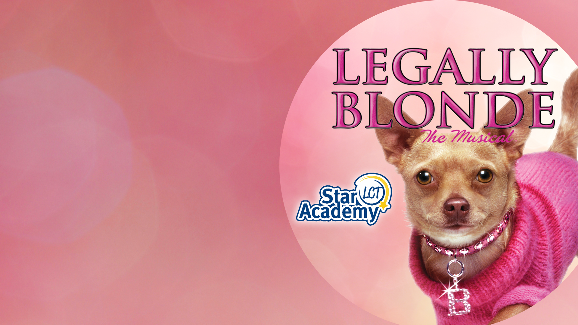 Legally Blonde Star Academy