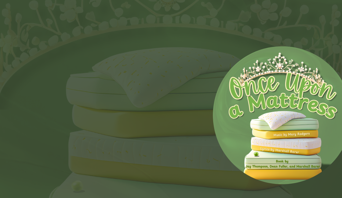 Once Upon a Mattress