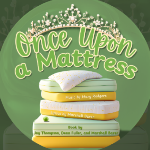 Once Upon a Mattress